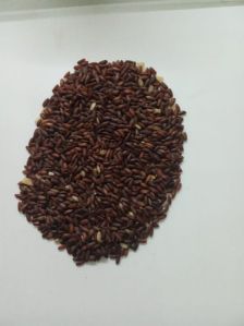 Black Rice