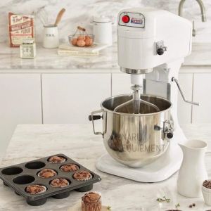 Spar Planetary Mixer