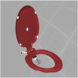Solid Toilet Seat Cover with Jet Spray