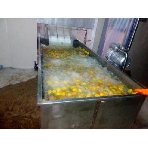 Mango Pulp Processing Plant