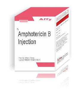 Amphotericin B Injection