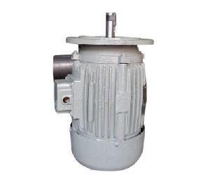 Double Speed Electric Motor