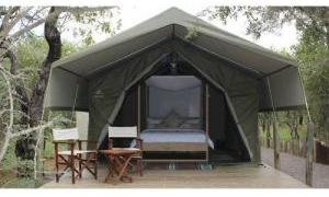 jungle safari tent