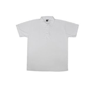 Collar Plain White T Shirt