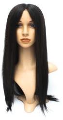 Human Hair Wigs