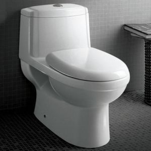 Polo 1001 Water Closet