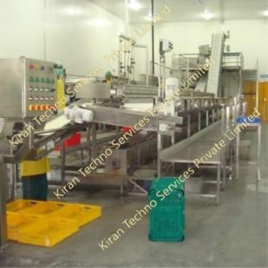 Automatic Mango Pulp Processing Plant