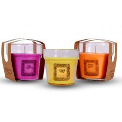 Flower Pot Jar Candle