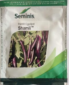 Seminis - Shamli Eggplant Seeds