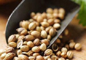 Coriander Seed