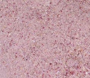 Dehydrated Red Onion Granules