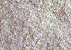 Dehydrated White Onion Granules