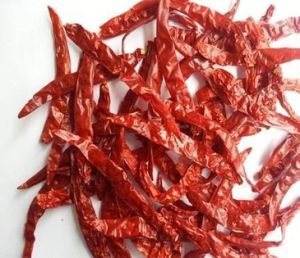 Dry Red wrinkle Chili