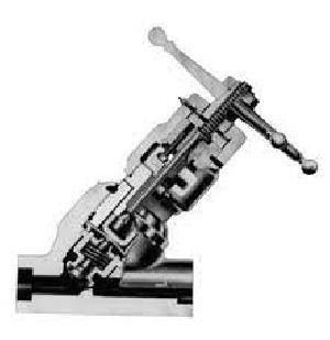 Flowserve Edward Gate Valve