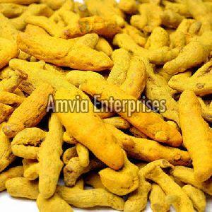 Amvia Turmeric Fingers