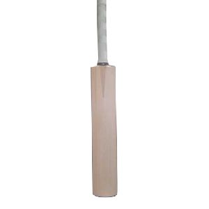 A Grade Kashmir Willow Cricket Bat