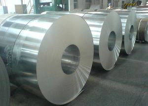 Stainless Steel Coils