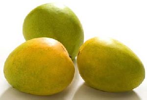 Fresh Neelam Mango