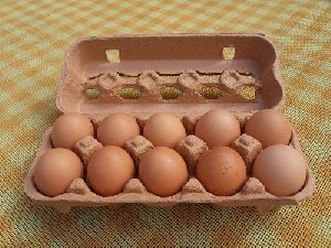 organic eggs