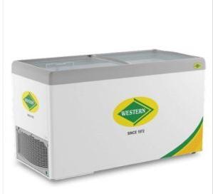 550 Ltr. Western Deep Freezer