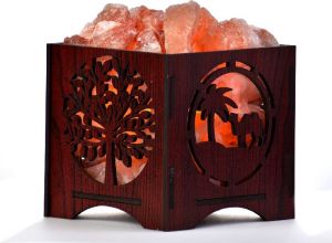 Desert Camel Wooden Brown Himalayan Rock Salt Lamp