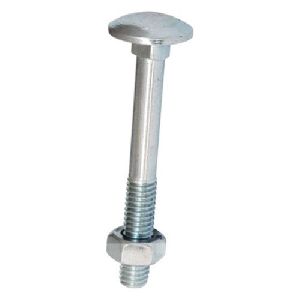 SS Carriage Nut Bolt