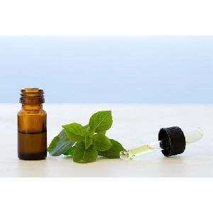 Basil Oil