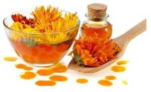 Calendula Oil