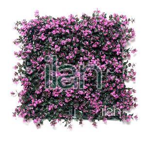 50x50 Cm Blooming Aster Artificial Green Wall