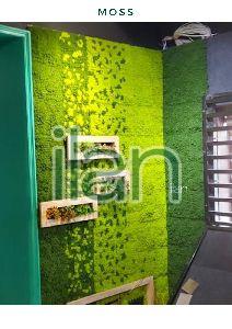 50x50 Cm Light Green Moss Artificial Green Wall