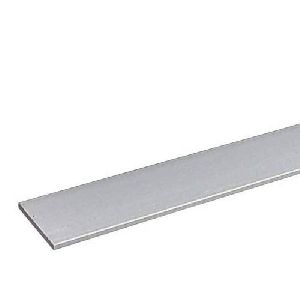 Stainless Steel Strips