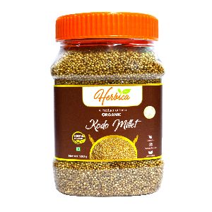 Kodo Millet Seeds