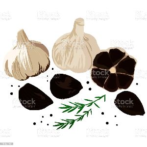 A garde fermentation black garlic