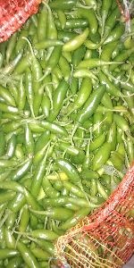 Green Chili