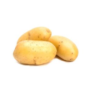 Fresh Potato