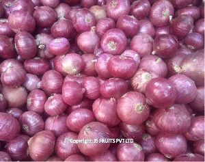 Onion ( Kanda)