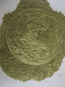 Dried Coriander Leaves Powder