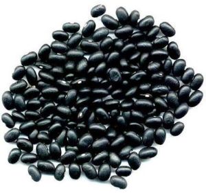 Black Beans