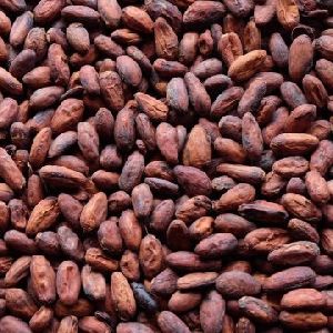 broken cocoa beans