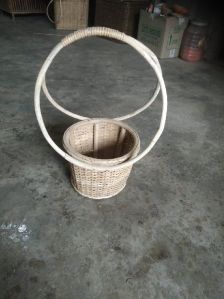 Cane Planter