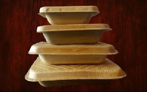 Eco Friendly Disposable Plates