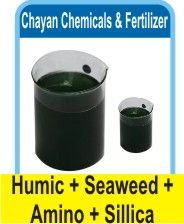 Humic Seaweed Amino Silica Liquid