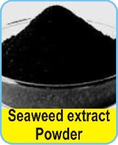 Seaweed Extract Powder