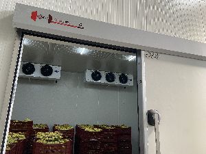 Banana Ripening Chamber