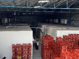 Banana Ripening Chamber