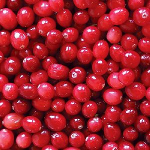 Fresh Cranberry