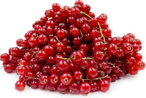 Fresh Red Currant