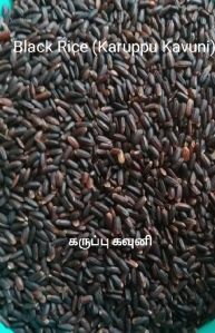 Black Rice