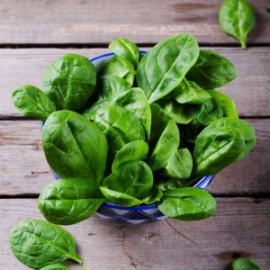 Fresh Spinach