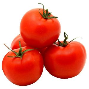 Fresh Tomato